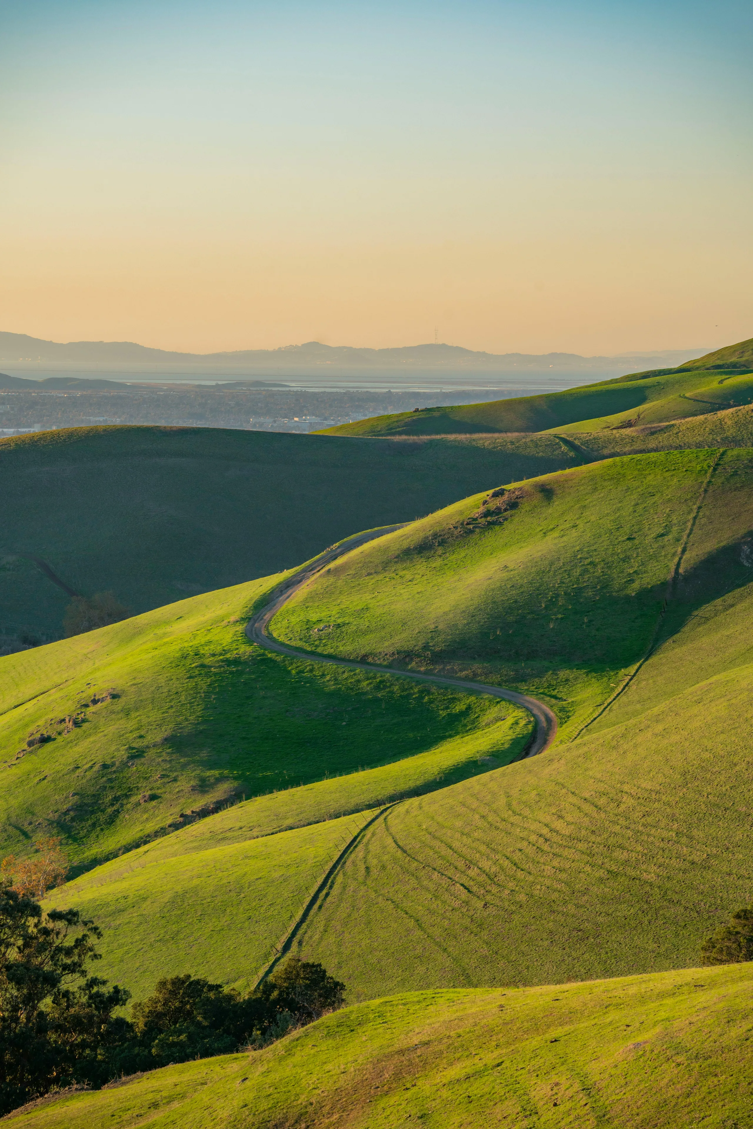 Rolling landscape with green fields in rural England